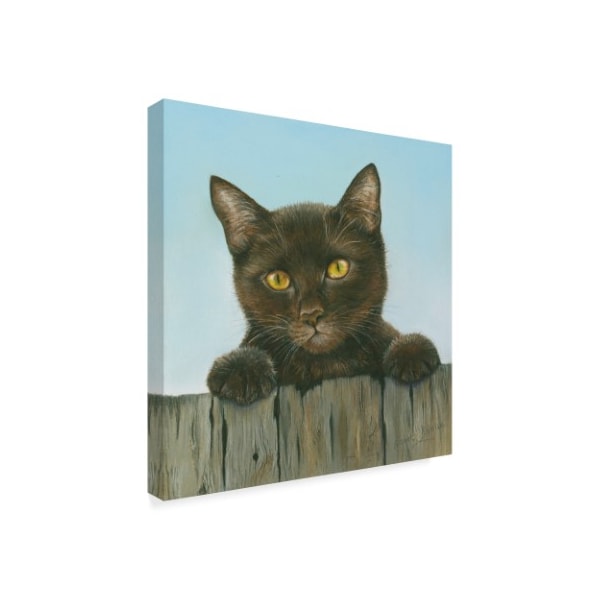 Janet Pidoux 'Black Kitten' Canvas Art,24x24